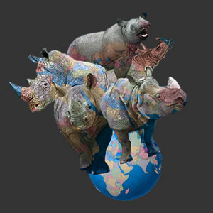 World Rhino Day 2012