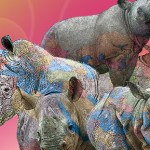 World Rhino Day 2012