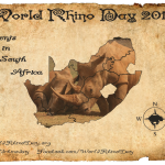 World Rhino Day Events in South Africa