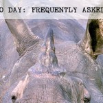 Questions about World Rhino Day
