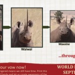 Lewa Wildlife Conservancy