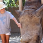 Rhino Internet sponsored a fundraiser at the Phoenix Zoo in honor of World Rhino Day, and sold custom designed t-shirts — with all proceeds going to the rhinos. Photo courtesy of Rhino Internet.