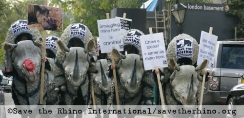 Save the Rhino International on World Rhino Day 2011