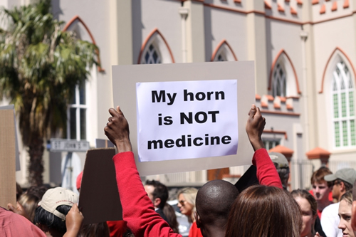 WRD_HornIsNotMedicine