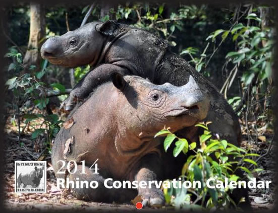 The 2014 Rhino Conservation Calendars are NOW on sale for $22 USD until September 22nd!