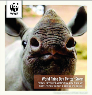 Join the WWF Twitter storm! #iam4rhinos